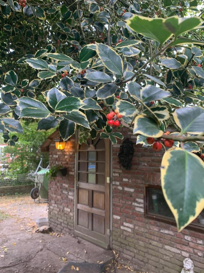 Leuk Vakantiehuisje 6P 布林瑟姆 外观 照片